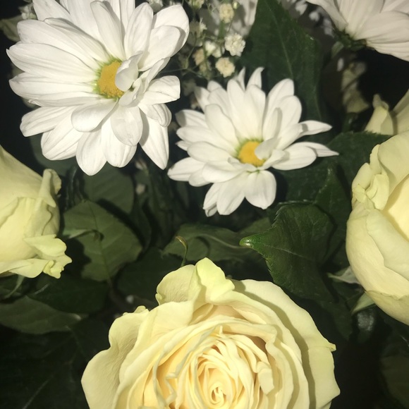 Meet your Posher, Nichole - Picture 1 of 1